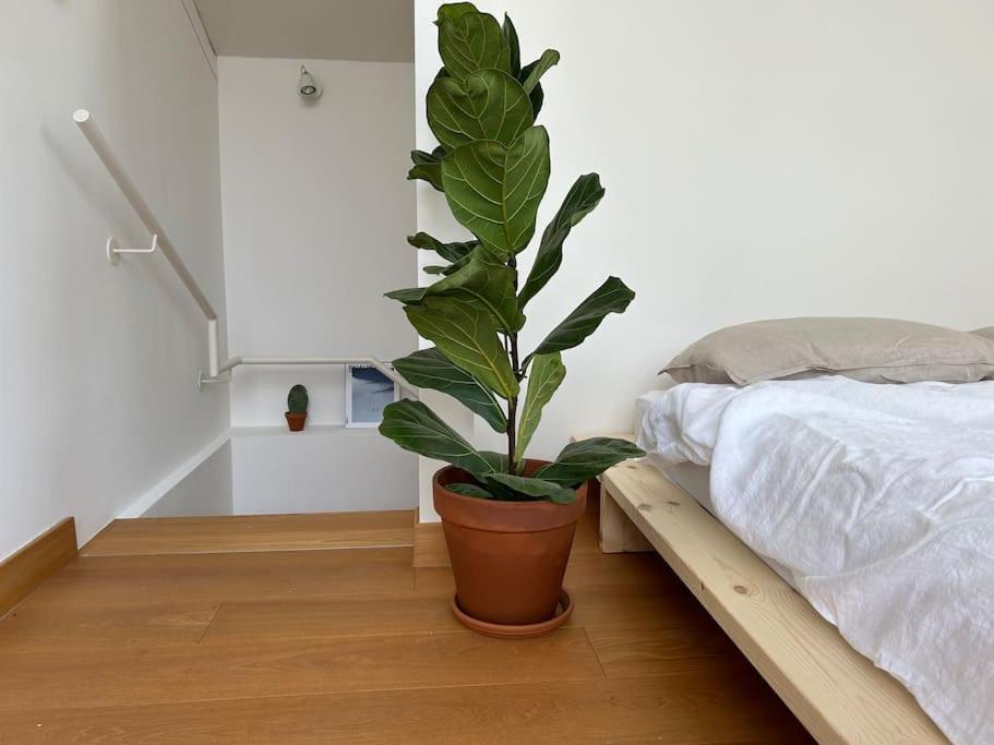 Casa Alegria Apartment Trento Luaran gambar