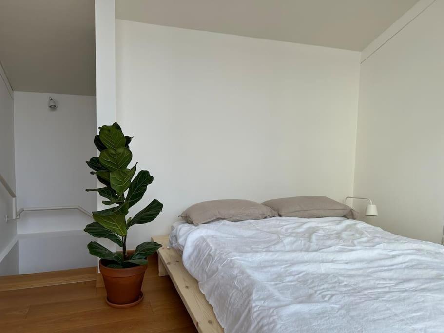 Casa Alegria Apartment Trento Luaran gambar