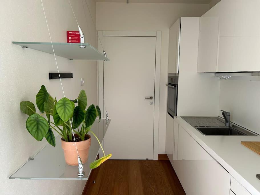 Casa Alegria Apartment Trento Luaran gambar